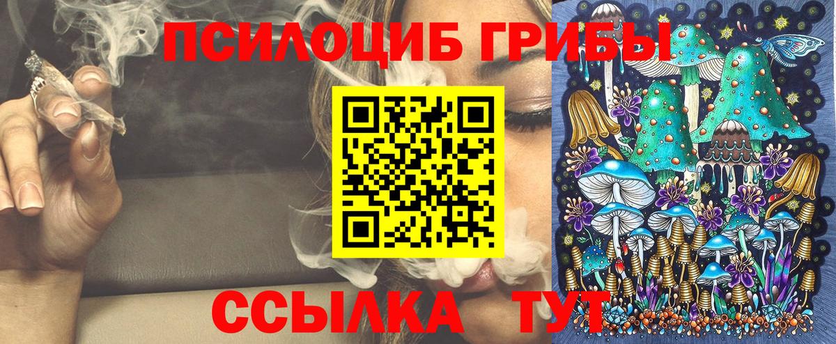 Псилоцибиновые грибы ЛСД Димитровград