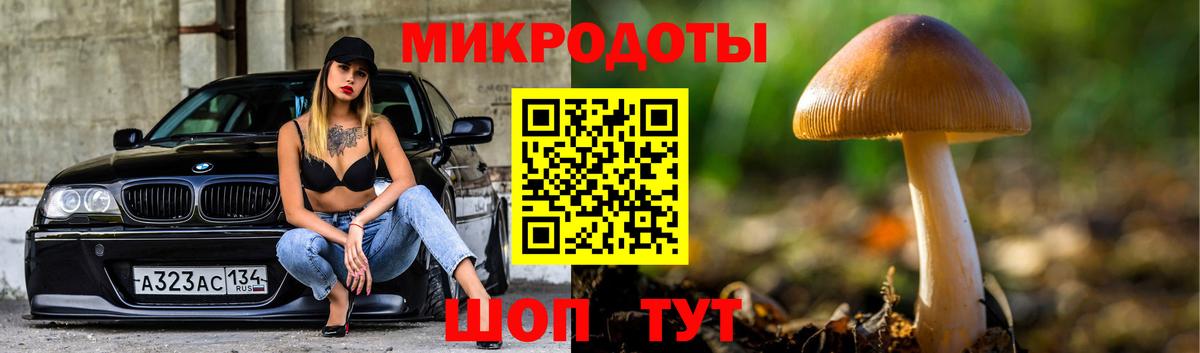 Галлюциногенные грибы мицелий  Вход с VPN  Димитровград 